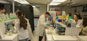 Empresas de Base Científica y Tecnológica lideradas por investigadoras e investigadores Usach se adjudican Startup Ciencia 2026
